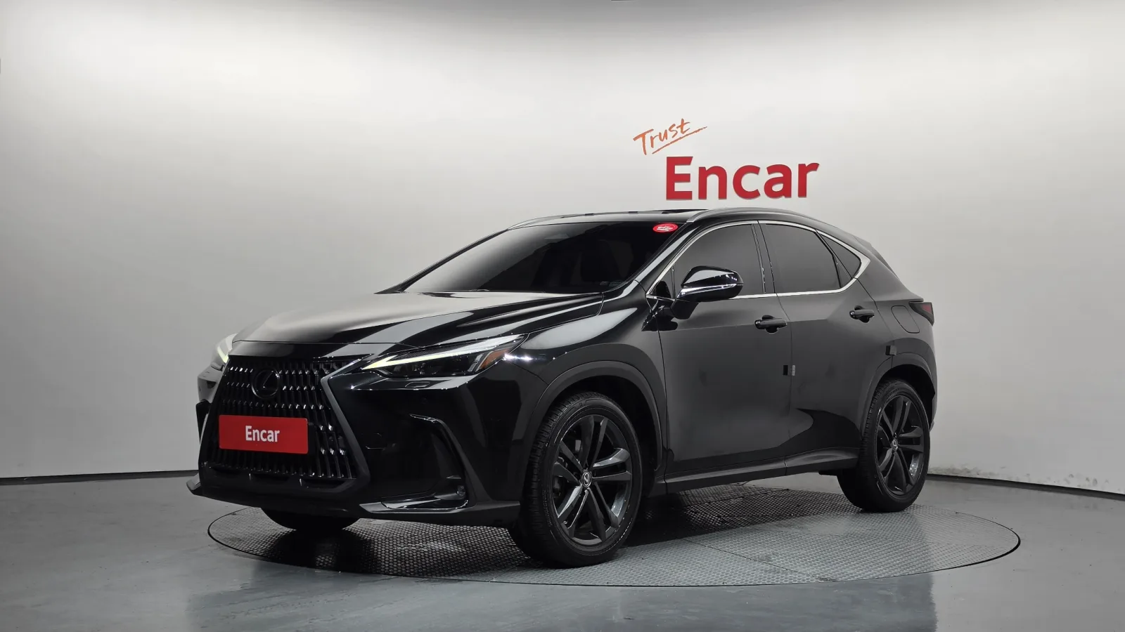 2025 Lexus NX