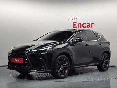 2025 Lexus NX