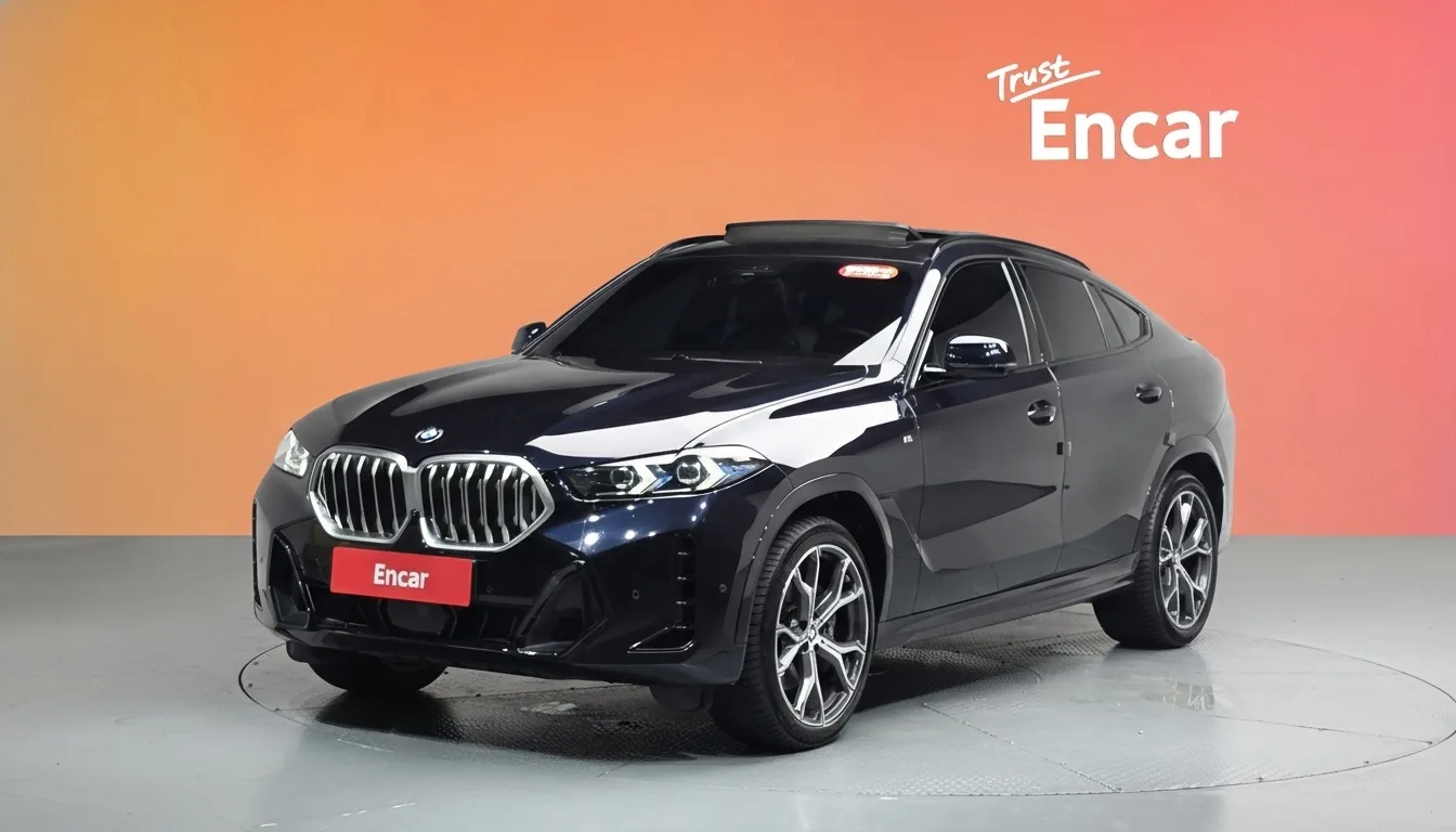 2024 BMW X6