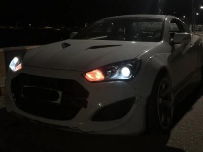 2009 Hyundai Genesis
