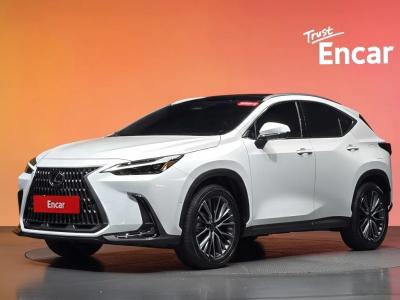2026 Lexus NX