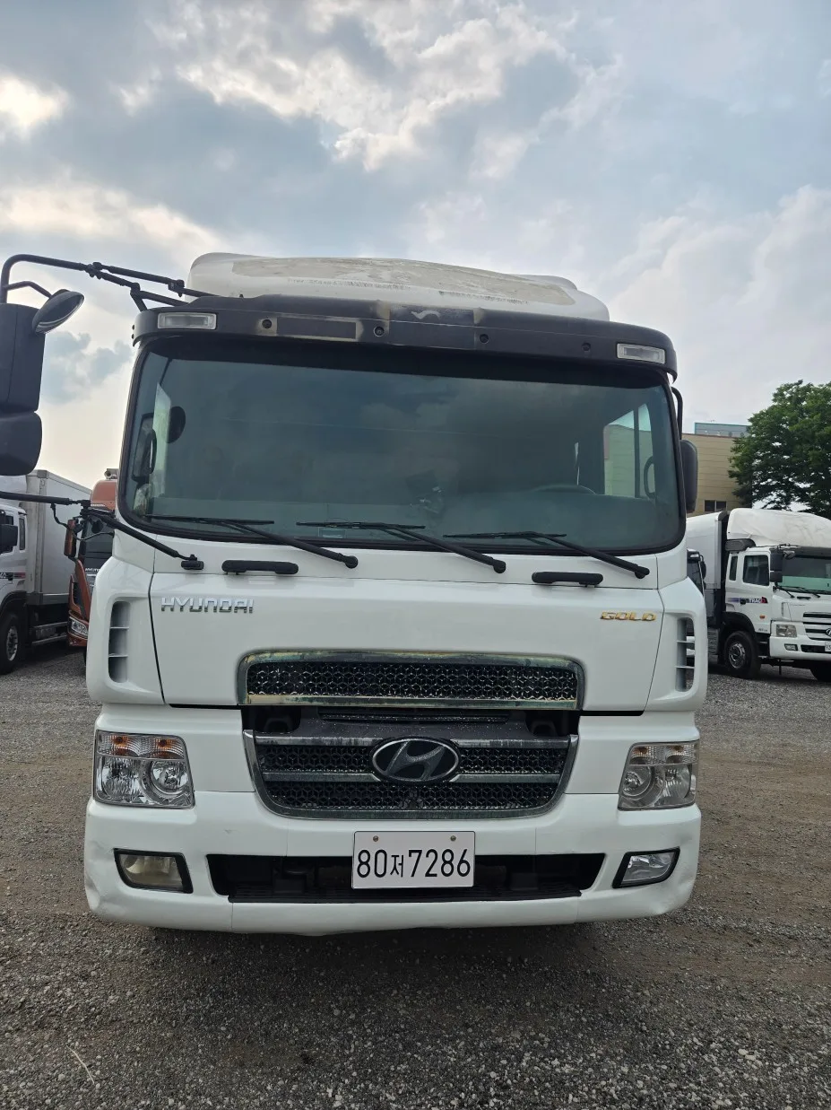 2011 Hyundai Medium Truck (91A)
