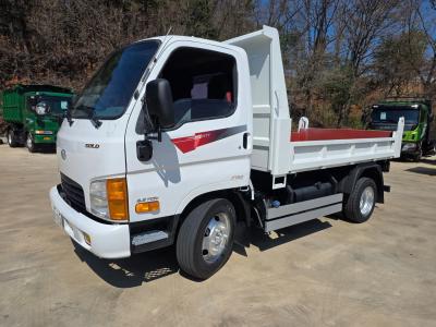 2017 Hyundai Mighty Cutie