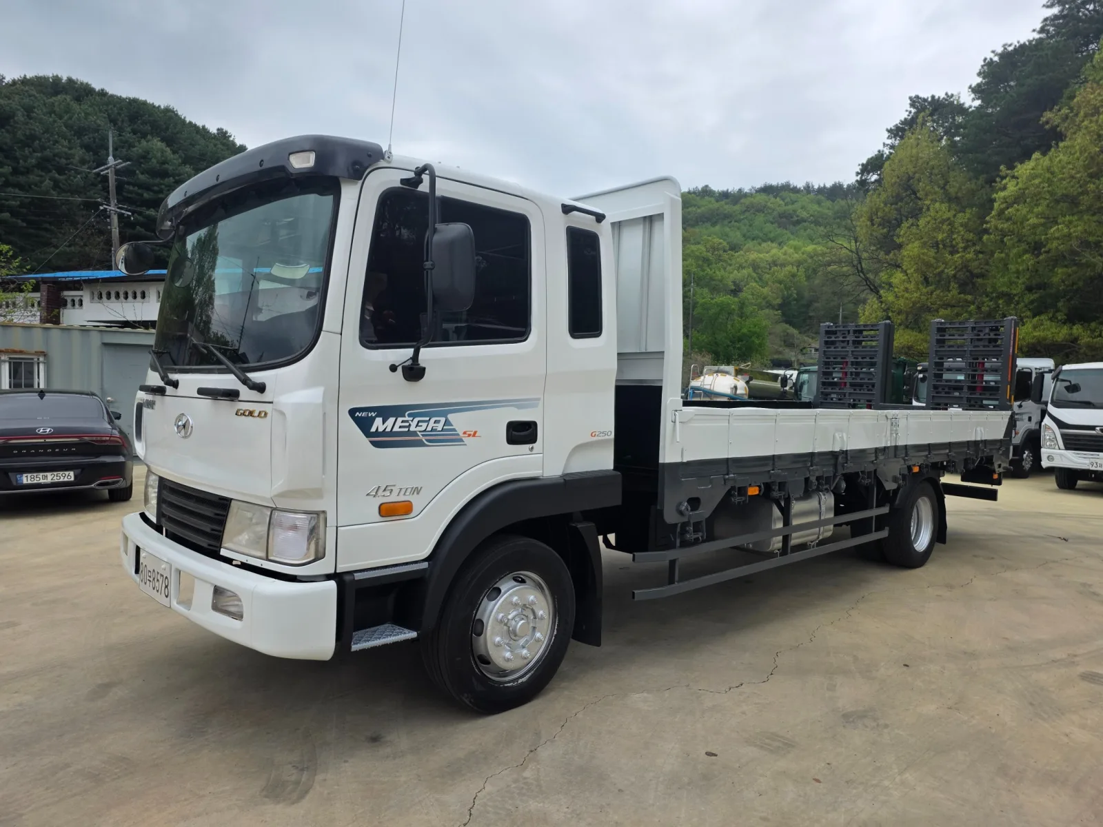 2010 Hyundai Mega Truck