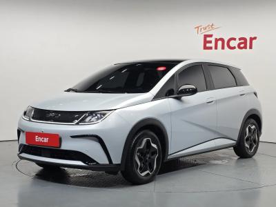 2026 BYD Dolphin
