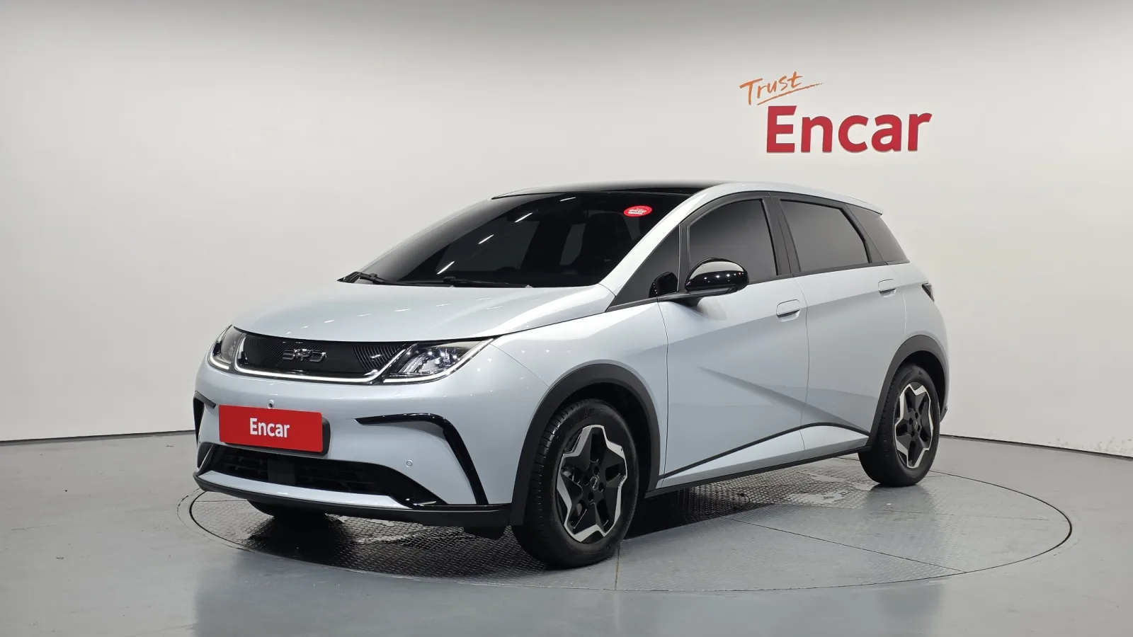 2026 BYD Dolphin