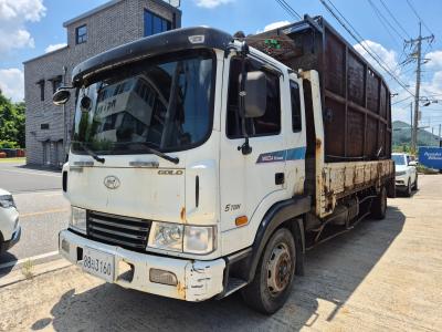 2010 Hyundai Mega Truck