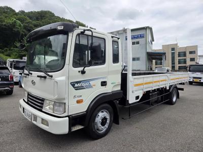 2010 Hyundai Mega Truck
