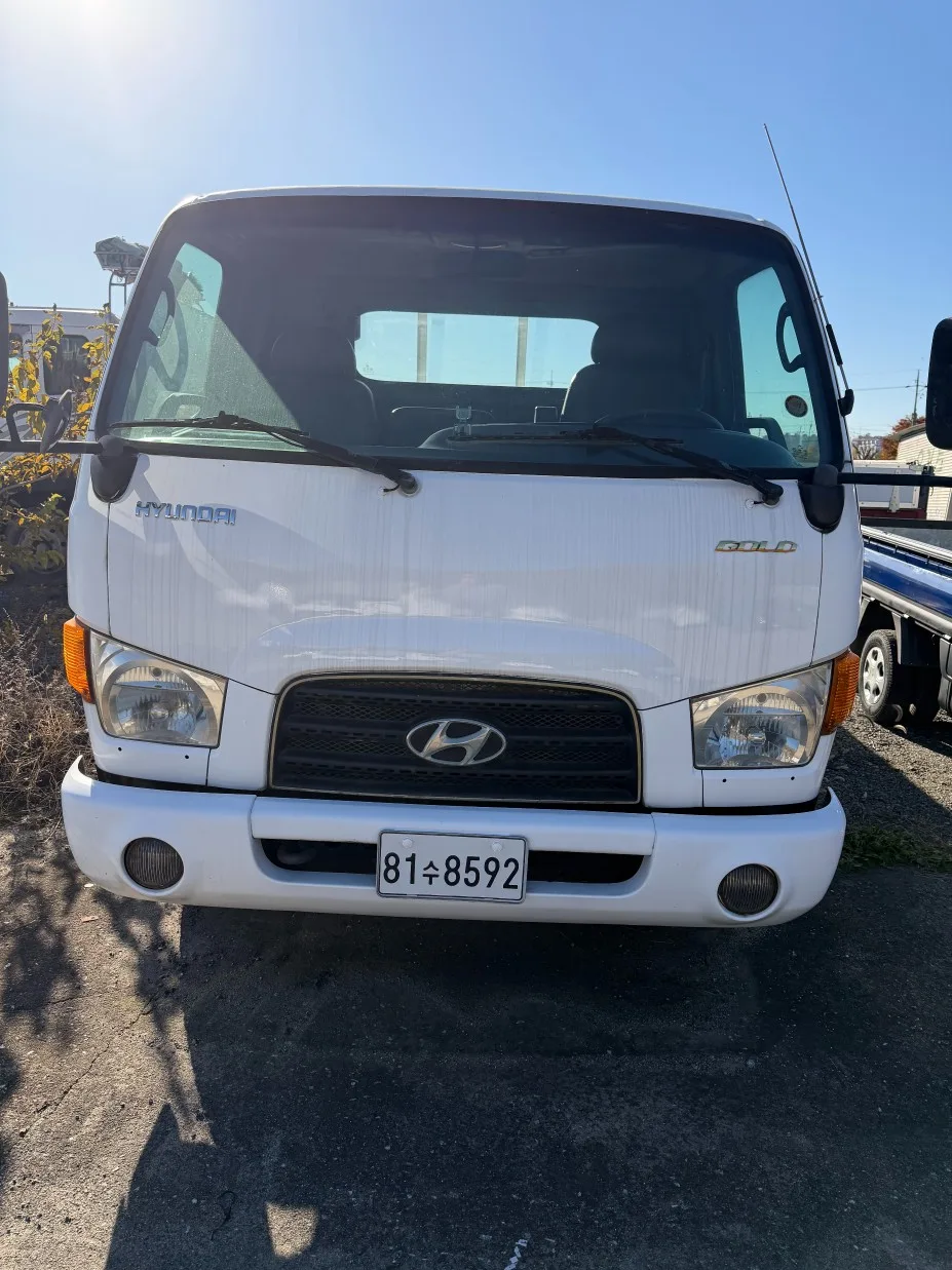 2010 Hyundai e-Mighty