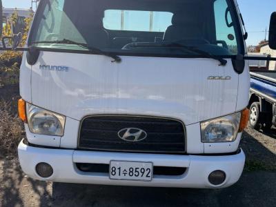 2010 Hyundai e-Mighty