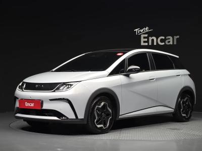 2026 BYD Dolphin