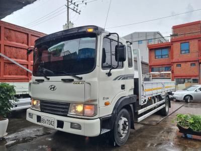 2010 Hyundai Mega Truck