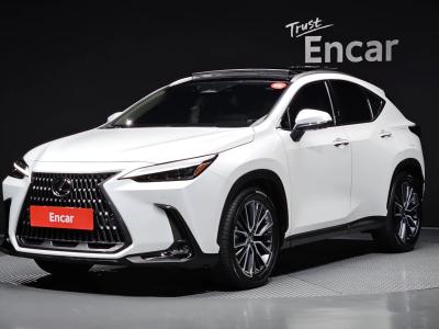 2025 Lexus NX