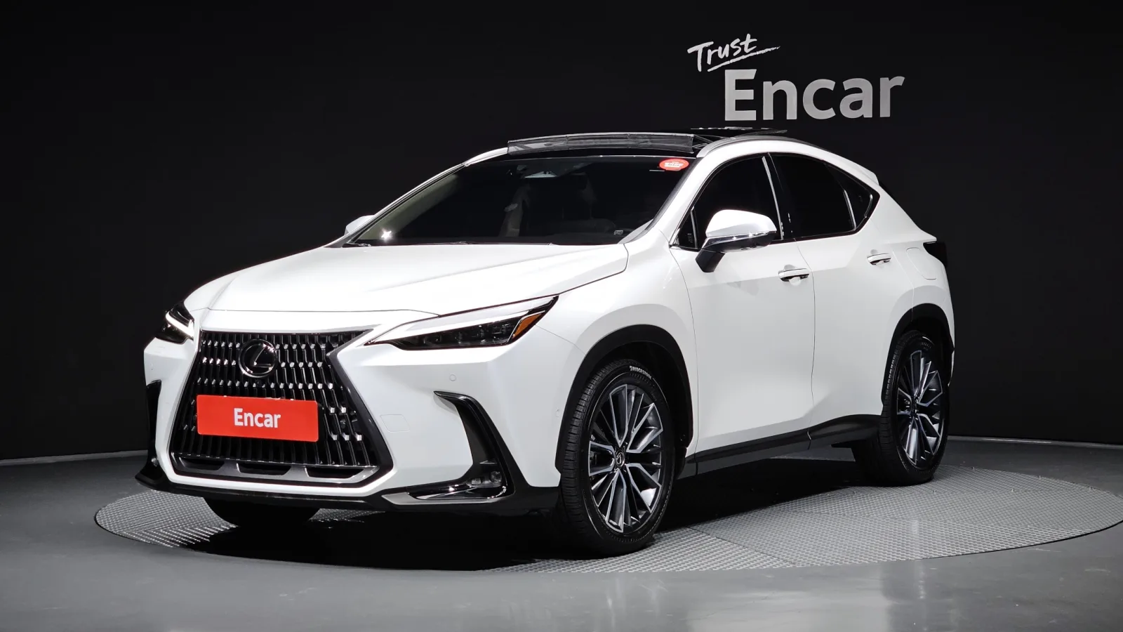 2025 Lexus NX