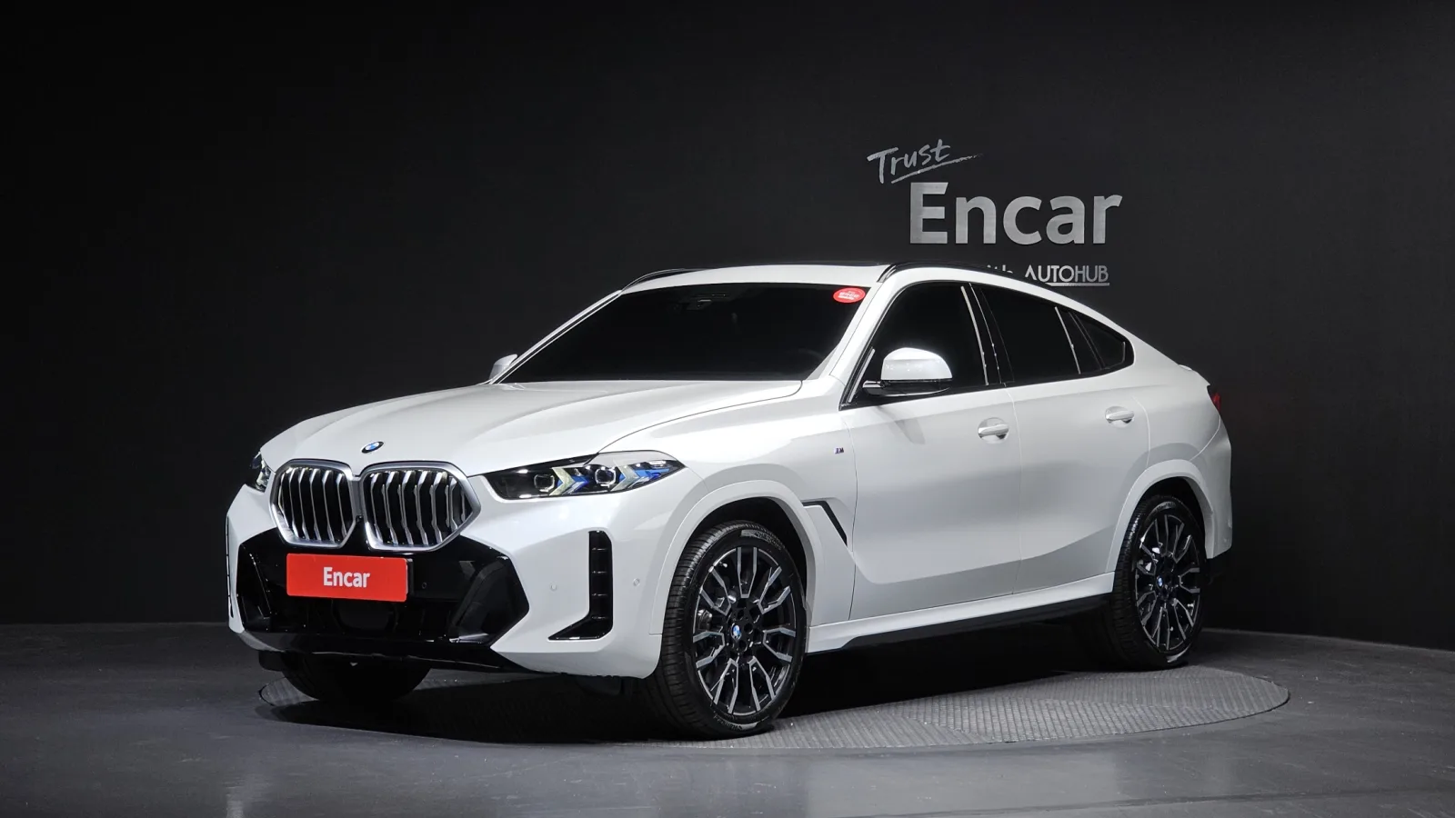 2025 BMW X6