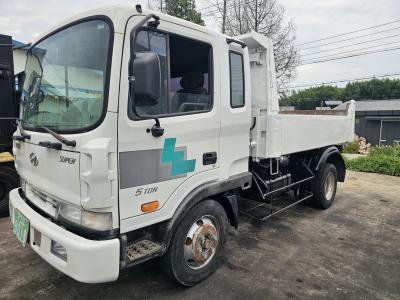 2004 Hyundai Mega Truck