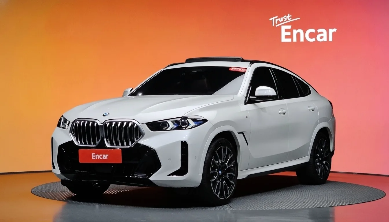 2024 BMW X6