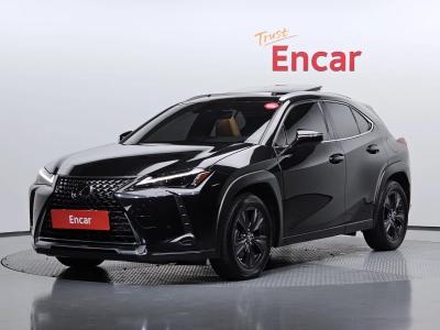 2024 Lexus UX