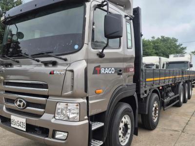 2013 Hyundai Trago