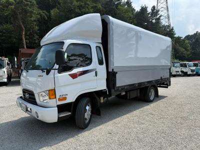 2009 Hyundai e-Mighty
