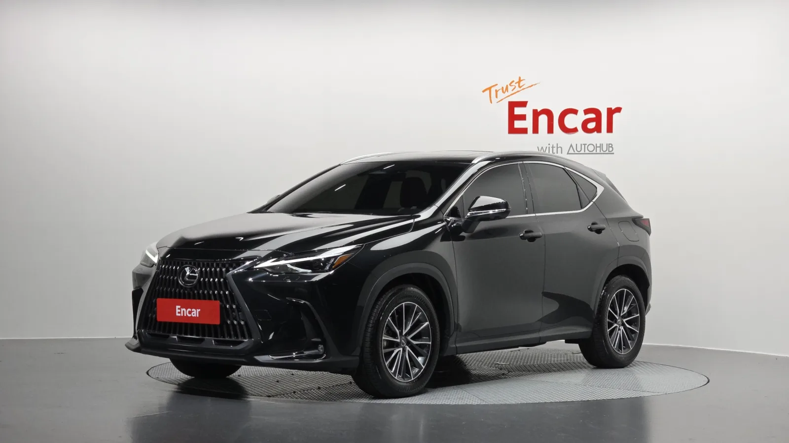 2025 Lexus NX