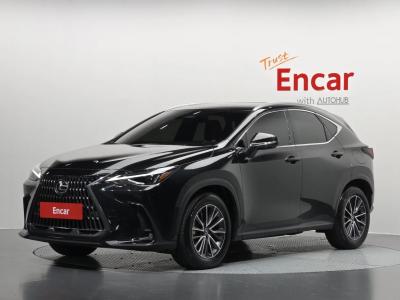 2025 Lexus NX