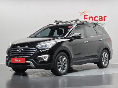 2015 Hyundai Maxcruz