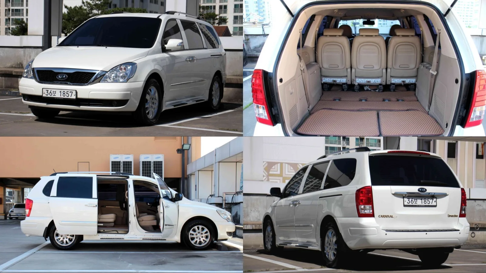 2011 Kia Carnival