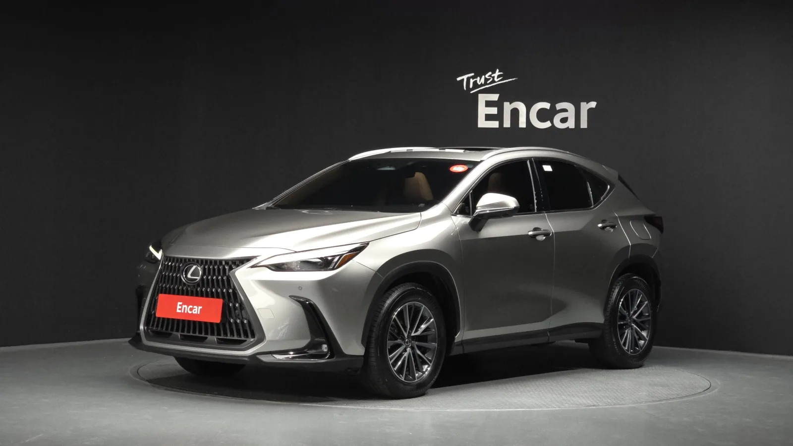 2024 Lexus NX