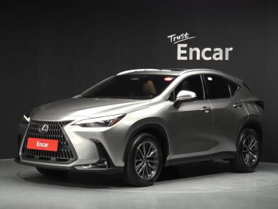 2024 Lexus NX