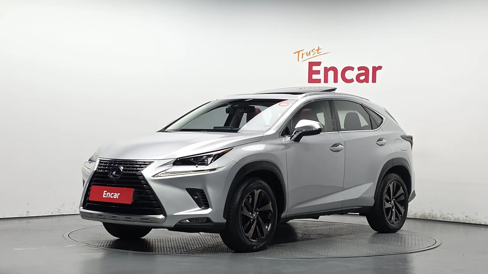 2019 Lexus NX