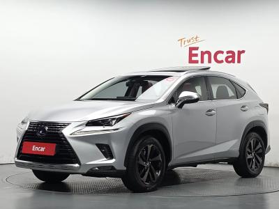 2019 Lexus NX