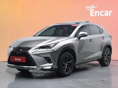 2019 Lexus NX