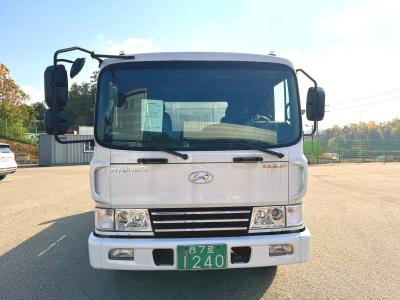 2005 Hyundai Mega Truck