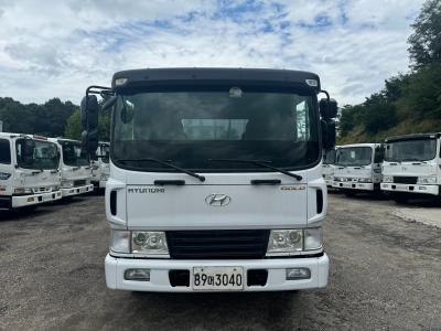 2011 Hyundai Mega Truck