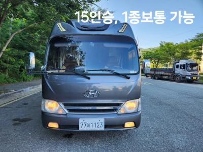 2009 Hyundai Bus Type