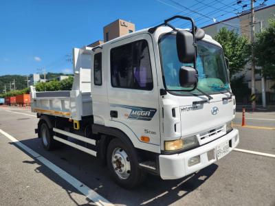 2001 Hyundai Mega Truck