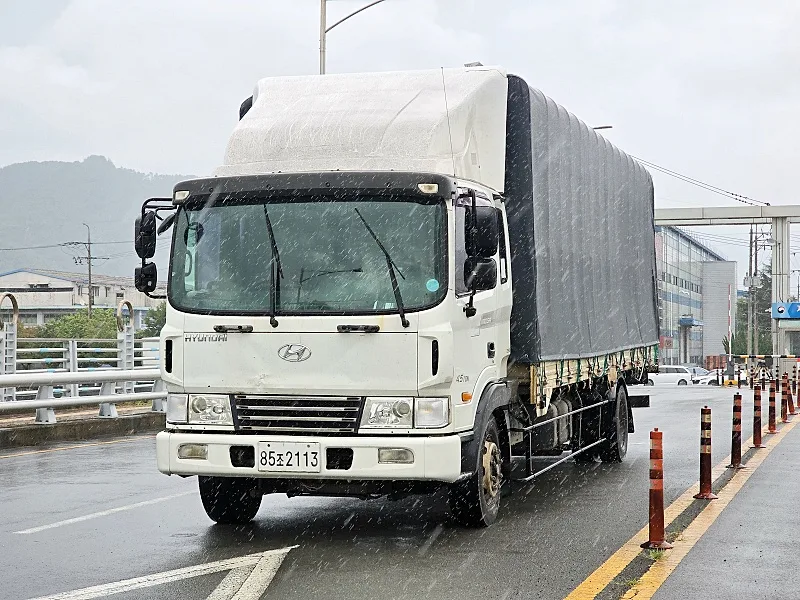 2011 Hyundai Mega Truck