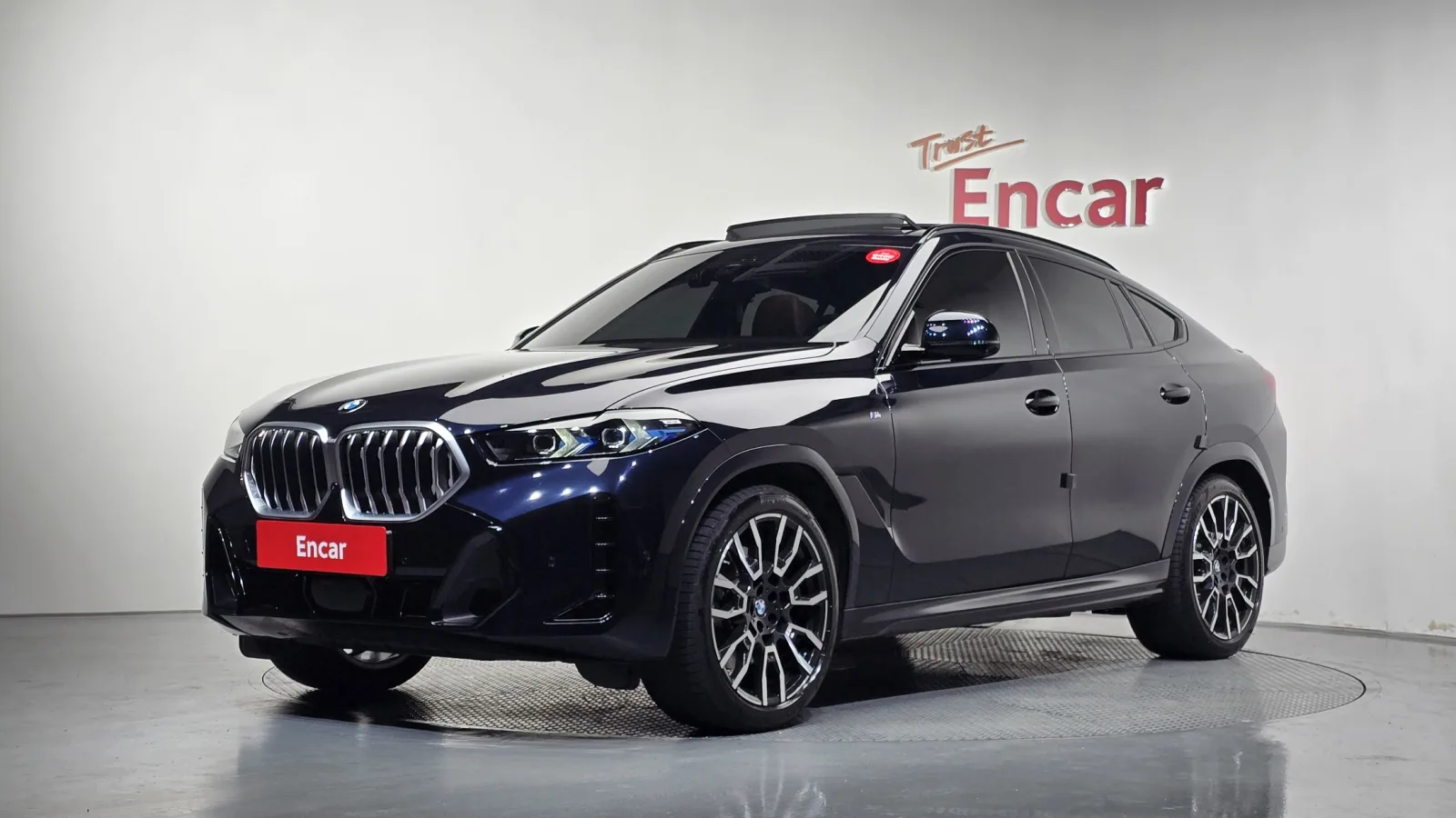 2025 BMW X6