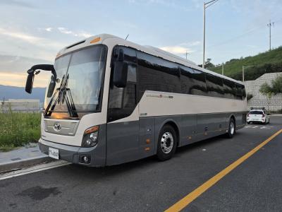 2015 Hyundai UniBus