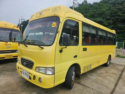 2007 Hyundai e-County