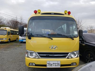 2015 Hyundai New County