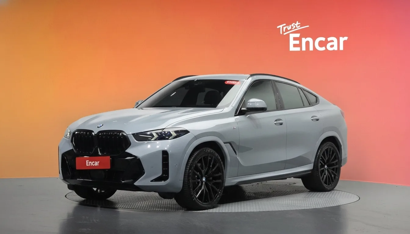 2024 BMW X6