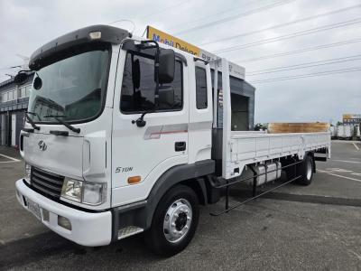 2015 Hyundai Mega Truck