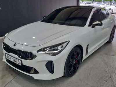 Kia Stinger 2.0 터보 2WD 플래티넘 (2018년형)