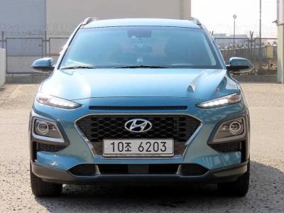 Hyundai Kona 1.6 터보 4WD 모던 아트 (2018년형)