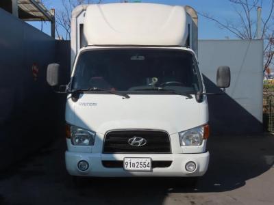2009 Hyundai e-Mighty