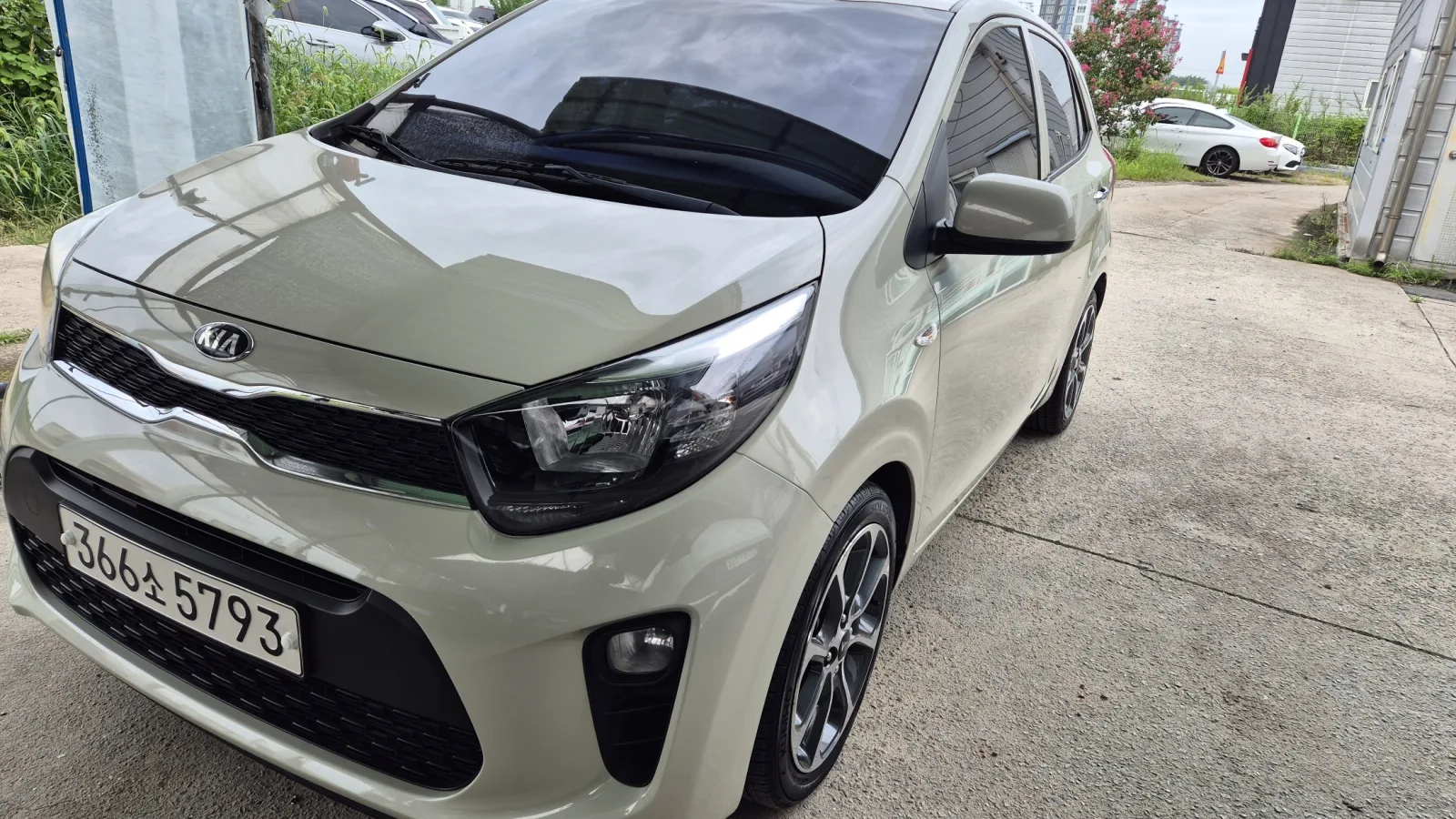 2017 Kia Picanto