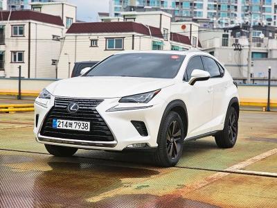 Lexus NX 300h 이그제Cutie브 (14~) (2019년형)