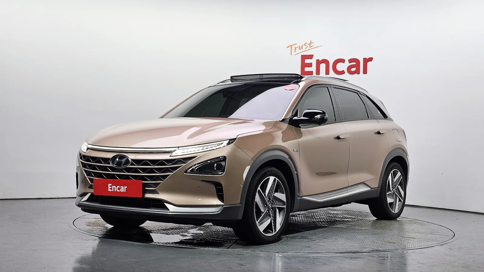 2019 Hyundai Nexo